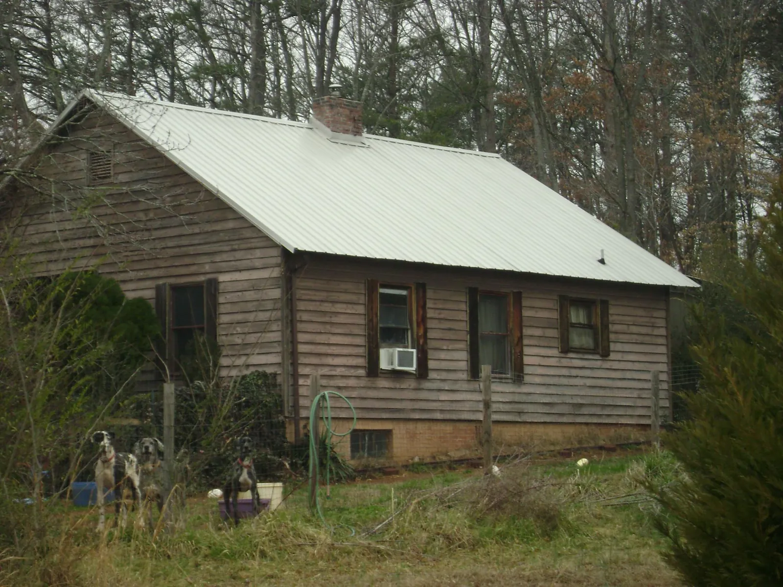 White metal roof on an old wood sided farmhouse, from a Asphalt Shingle Roof Repair job in Twin Mountain